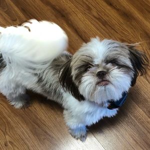 Meet your Posher, Kristie